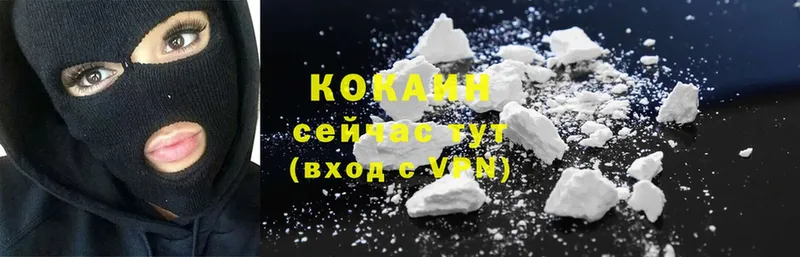 COCAIN 99%  Каргополь 